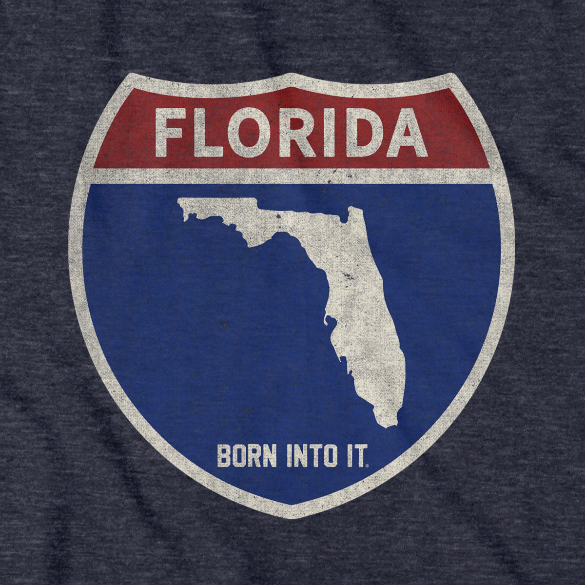 Born Into It Florida Interstate Sign T-Shirt featuring a highway sign graphic on a casual T-shirt.