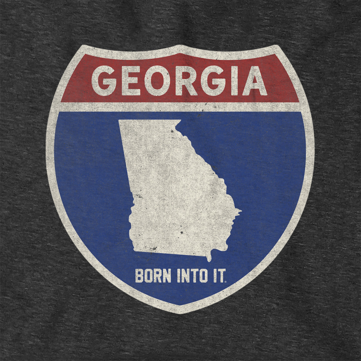 Born Into It Georgia Interstate Sign hoodie sweatshirt featuring a graphic of a highway sign, casual and comfortable apparel.