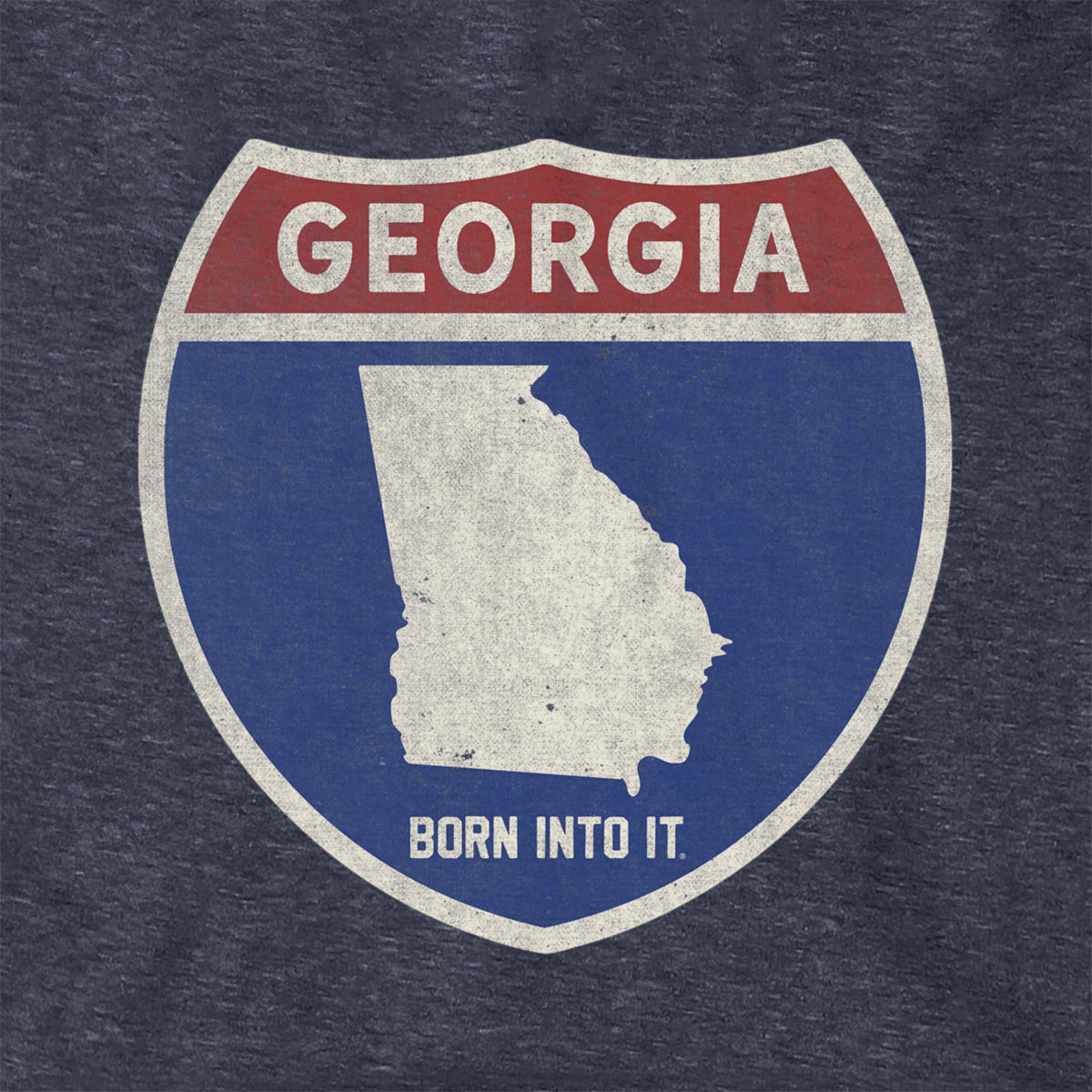 Born Into It Georgia Interstate Sign hoodie, a comfy sweatshirt featuring a bold interstate design on the front.