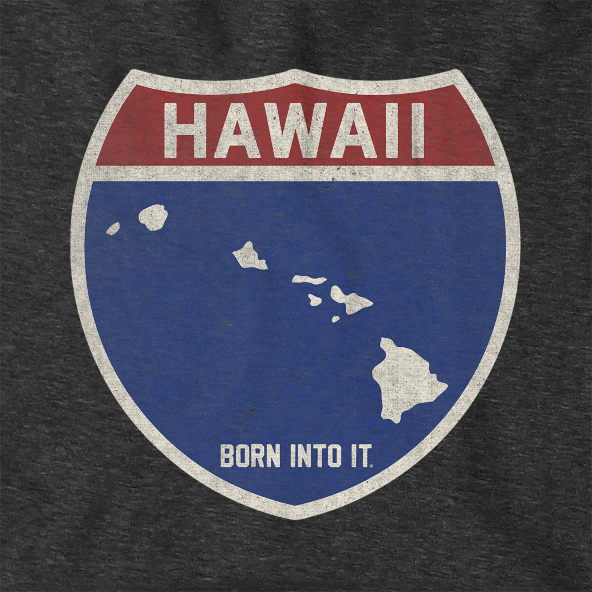 Born Into It Hawaii Interstate Sign hoodie sweatshirt featuring a bold highway sign design on the front.