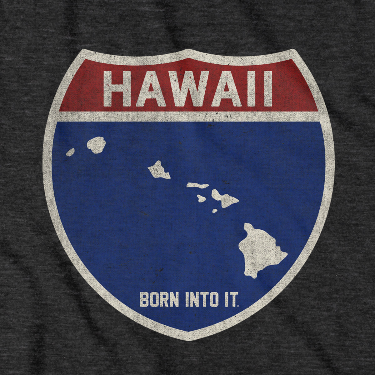 Born Into It Hawaii Interstate Sign T-Shirt featuring a bold highway sign graphic on a casual T-shirt.