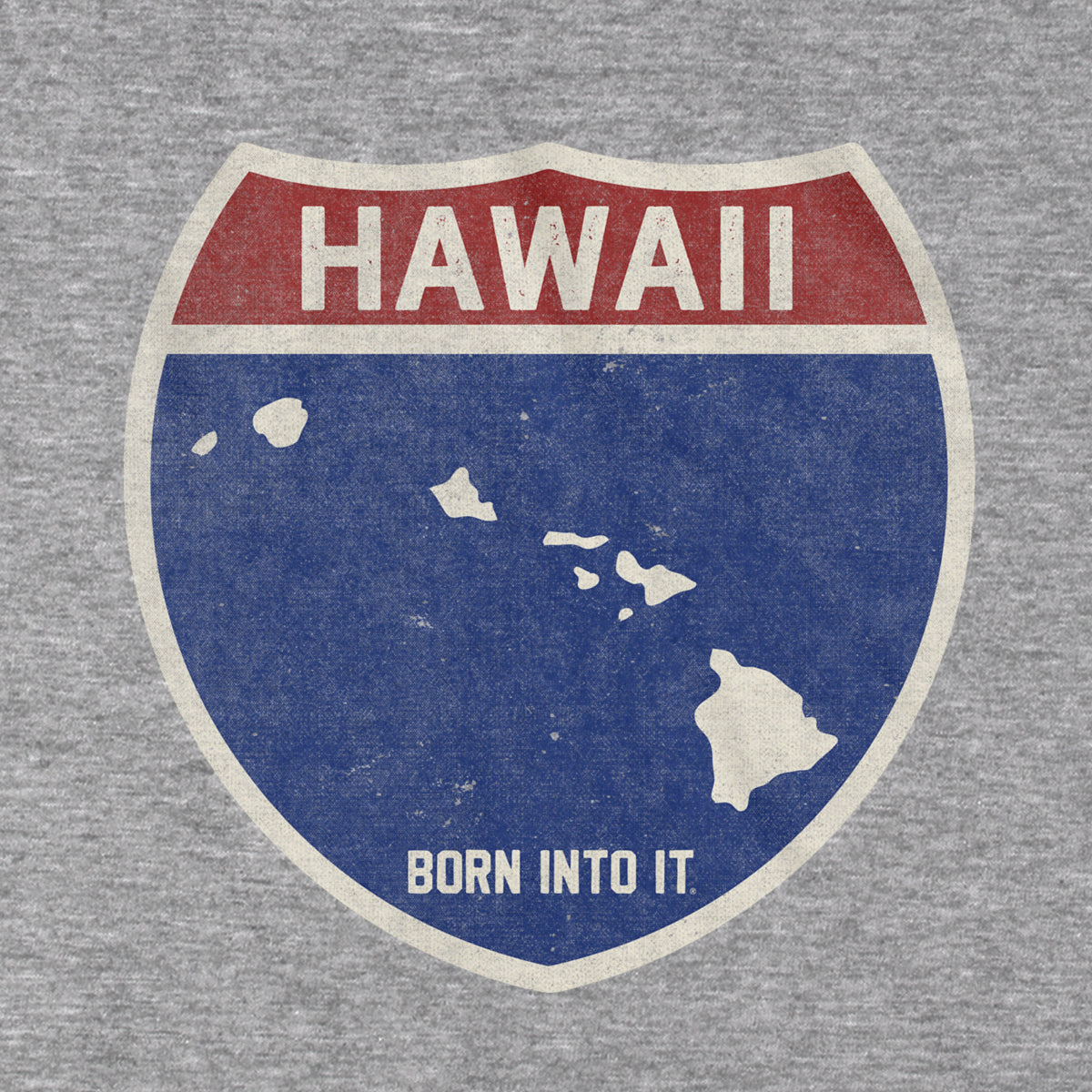 Gray Hawaii Interstate Sign T-Shirt by Born Into It featuring a bold highway sign design on soft cotton fabric.