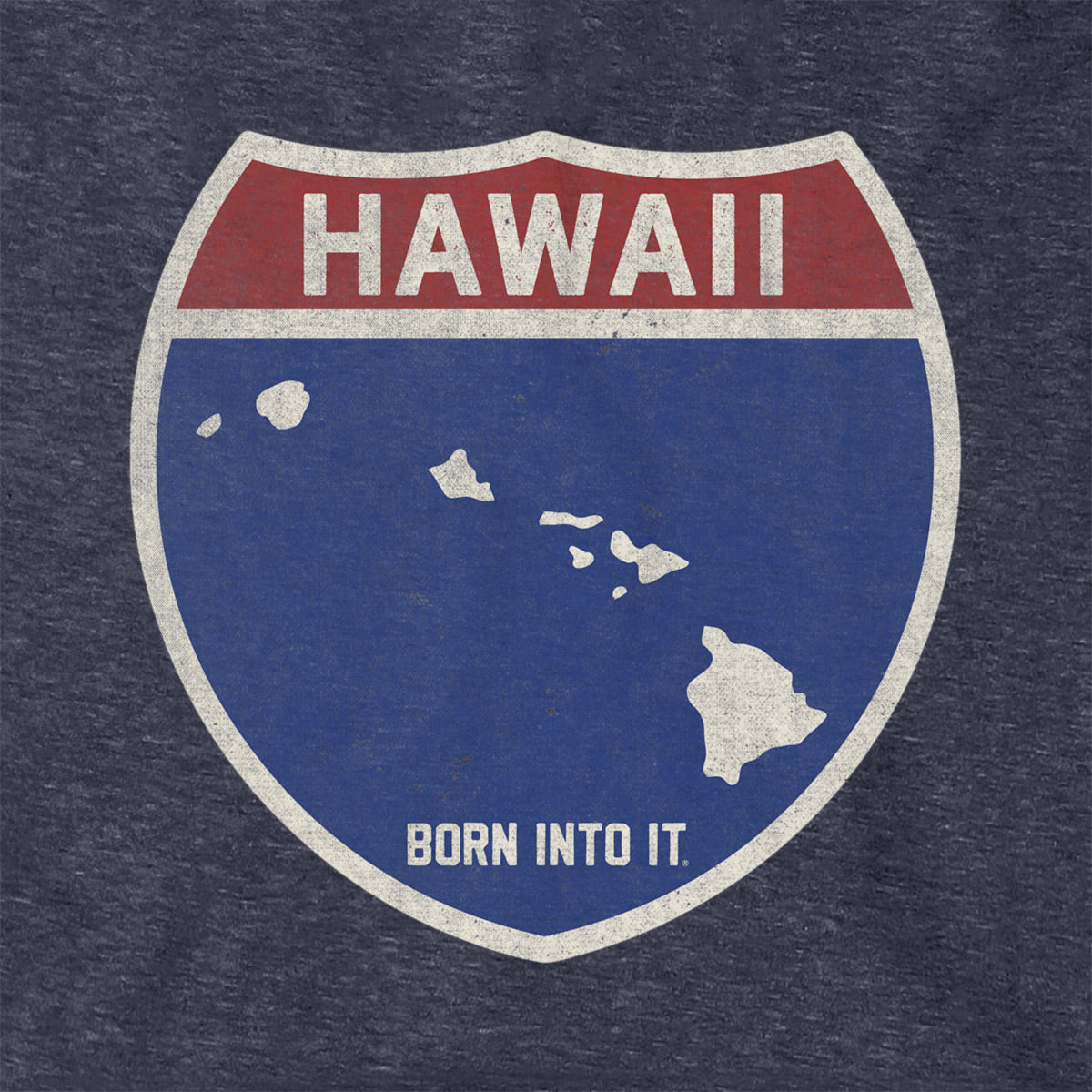 Born Into It Hawaii Interstate Sign Hoodie sweatshirt featuring a vibrant interstate sign graphic on soft fabric.
