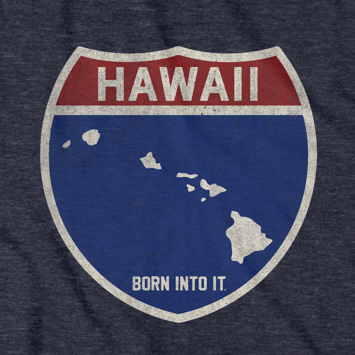 Born Into It Hawaii Interstate Sign T-Shirt featuring a colorful highway sign graphic on a casual T-shirt.