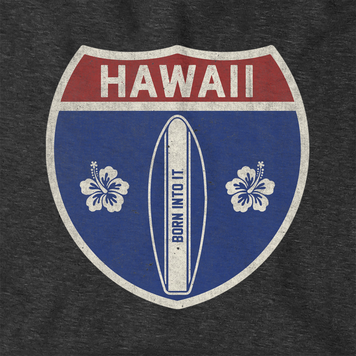 Born Into It Hawaii surfboard interstate sign hoodie, cozy sweatshirt with vibrant surf-themed graphic and bold lettering.
