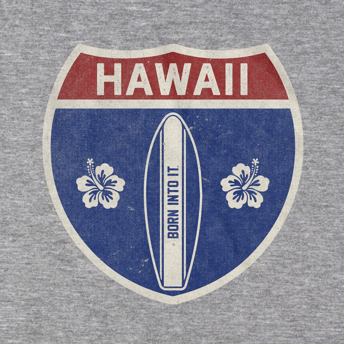 Born Into It Hawaii surfboard interstate sign T-shirt in gray, featuring a colorful surfboard graphic and a relaxed fit.