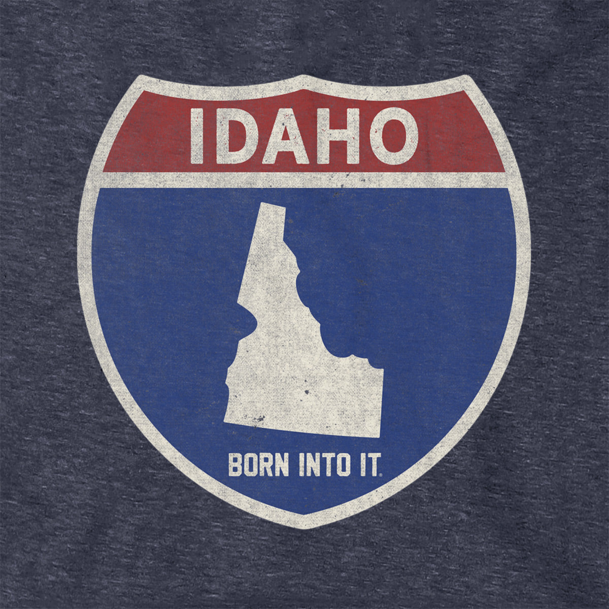 Born Into It Idaho Interstate Sign hoodie sweatshirt featuring a highway sign design in a close-up view.