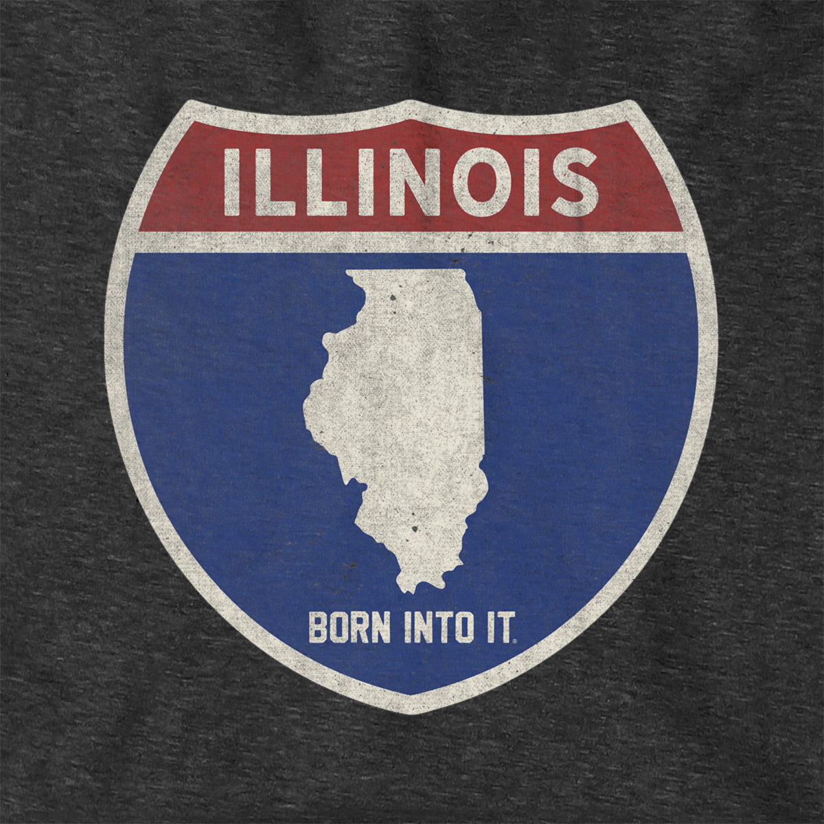 Born Into It Illinois Interstate Sign Hoodie sweatshirt featuring a detailed highway sign graphic on the front.