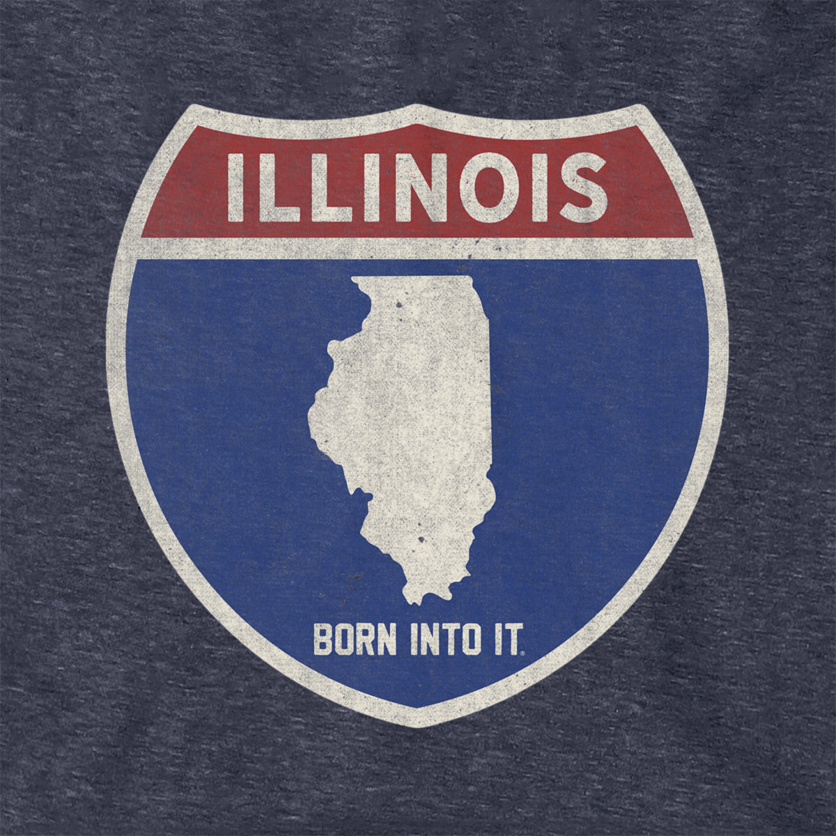 Born Into It Illinois Interstate Sign hoodie sweatshirt featuring a bold highway sign graphic in black and white.