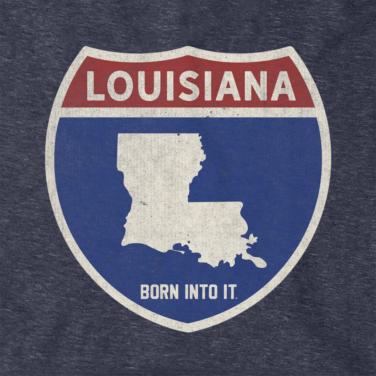 Born Into It Louisiana Interstate Sign hoodie, stylish sweatshirt featuring iconic interstate design and branding.