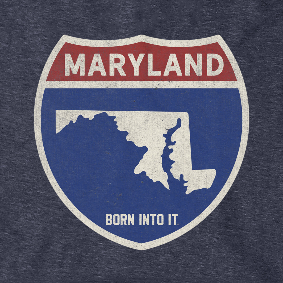Born Into It Maryland Interstate Sign hoodie, comfortable sweatshirt featuring Maryland highway design and vibrant colors.