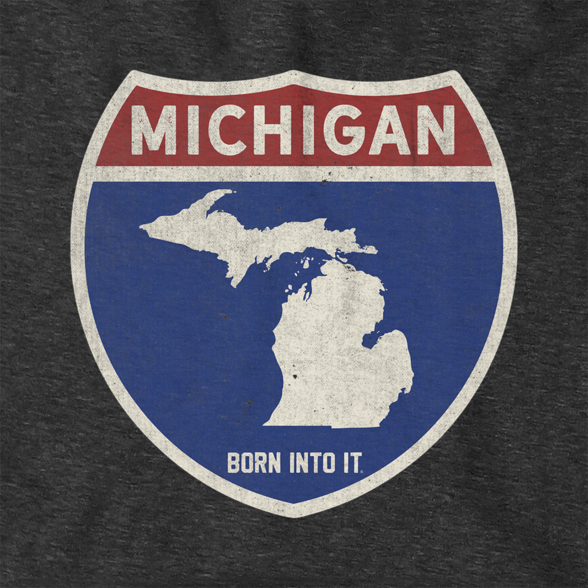 Born Into It Michigan Interstate Sign hoodie, a comfortable sweatshirt featuring Michigan highway graphics and bold branding.