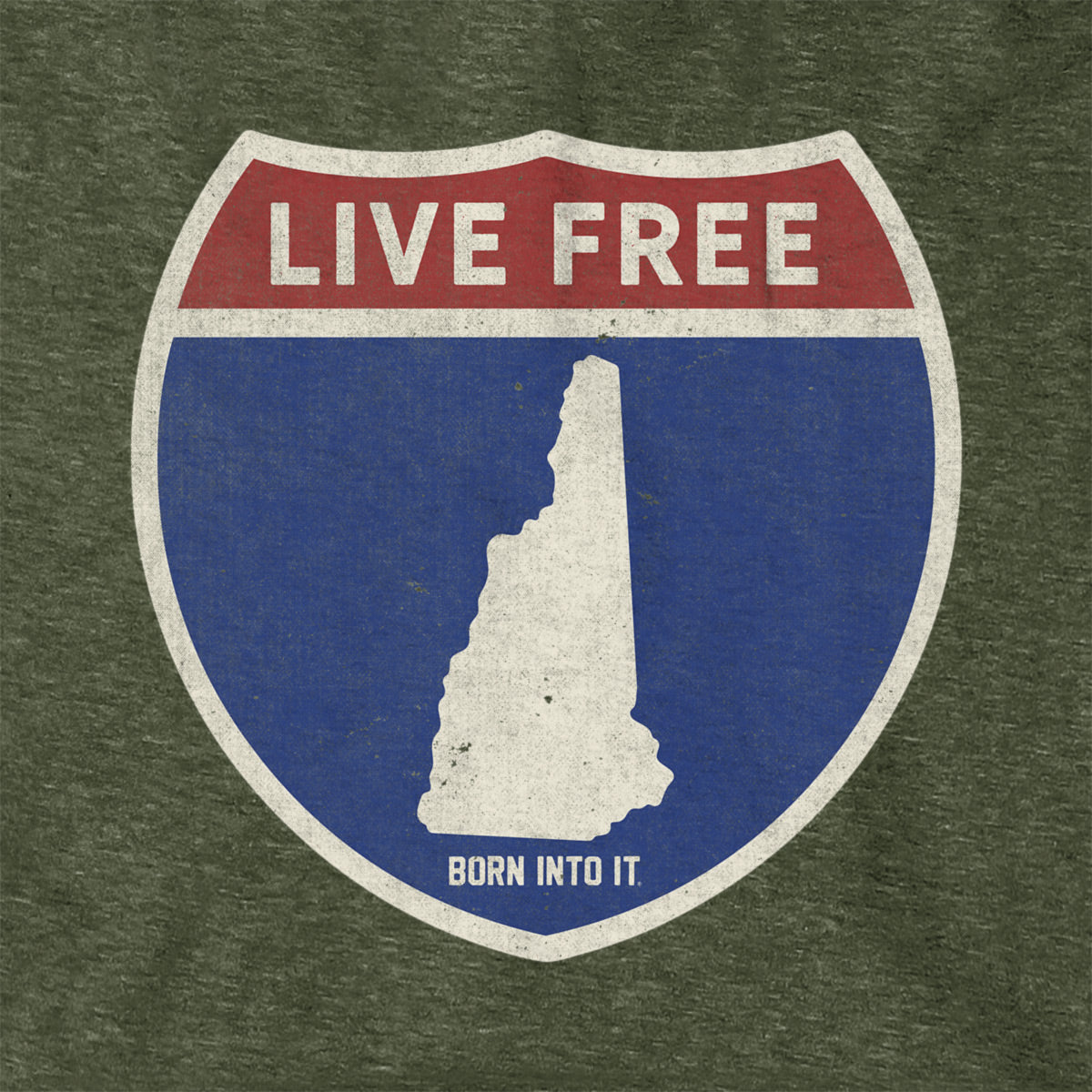Born Into It New Hampshire Interstate Sign hoodie, comfortable sweatshirt with NH highway graphic, casual and stylish wear.