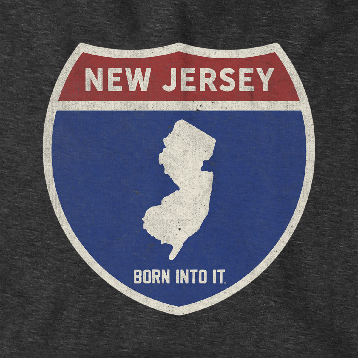 Born Into It New Jersey Interstate Sign hoodie sweatshirt with graphic design on front, casual streetwear style.