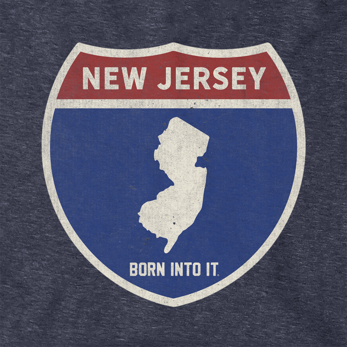 Born Into It New Jersey Interstate Sign hoodie sweatshirt featuring a highway sign design on the front.