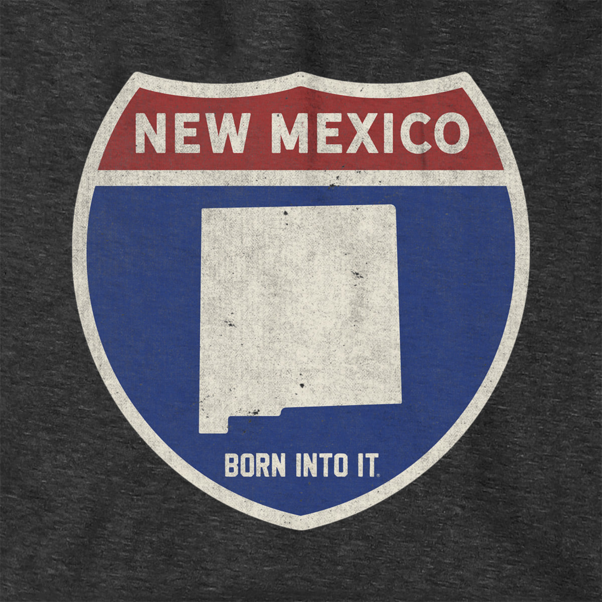 Born Into It New Mexico Interstate Sign hoodie sweatshirt with a graphic of New Mexico interstate signs on the front.