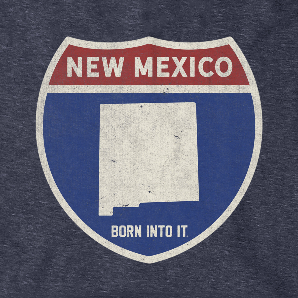 Born Into It New Mexico Interstate Sign hoodie sweatshirt with graphic design on front, casual and comfortable apparel.