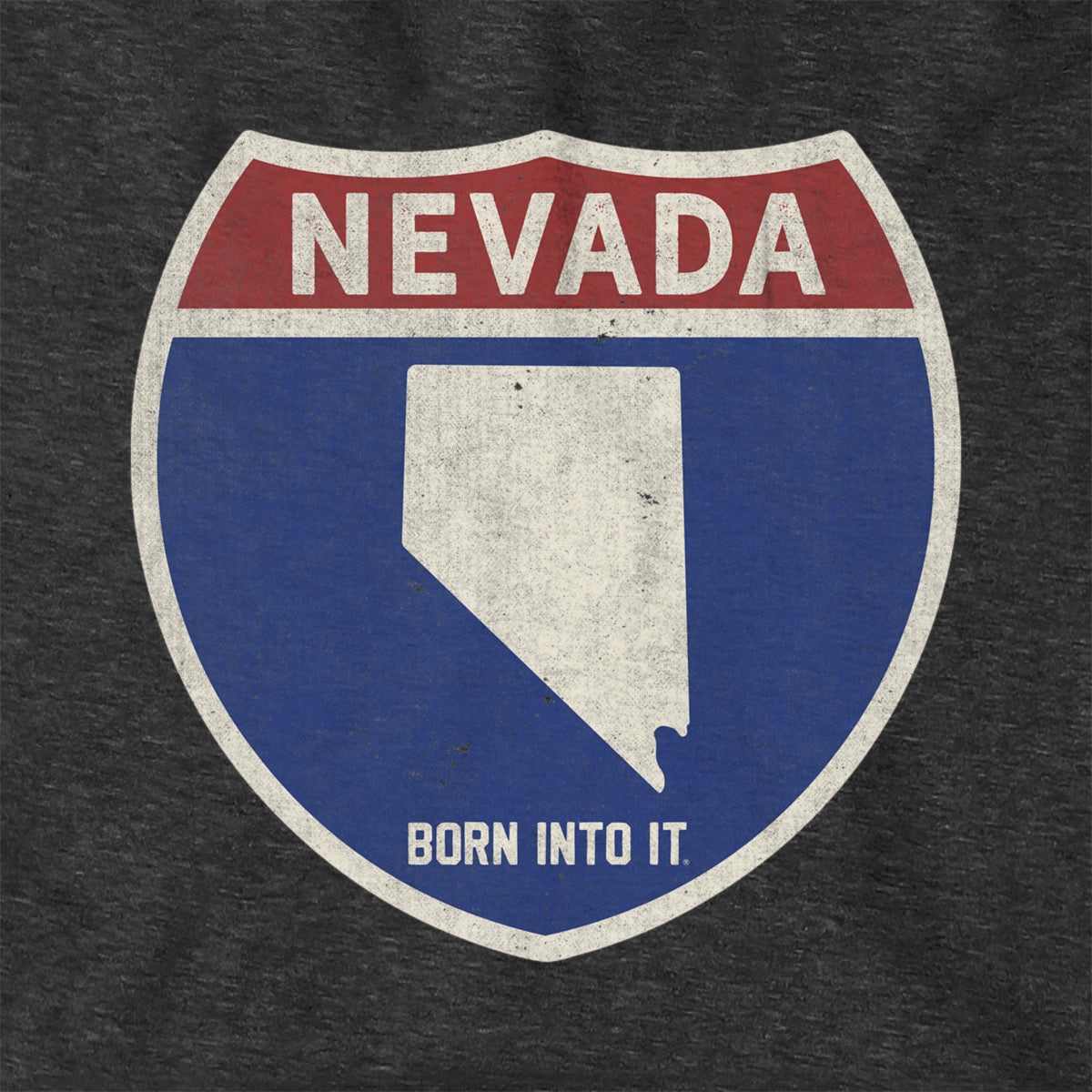 Born Into It Nevada Interstate Sign Hoodie sweatshirt with highway graphic and bold text on front, casual streetwear style.