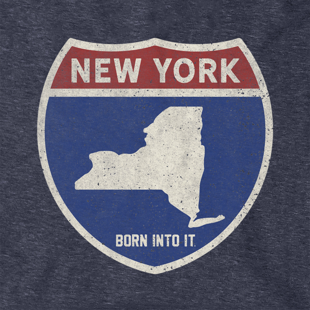Born Into It New York Interstate Sign hoodie sweatshirt, featuring a detailed highway sign design on soft fabric.