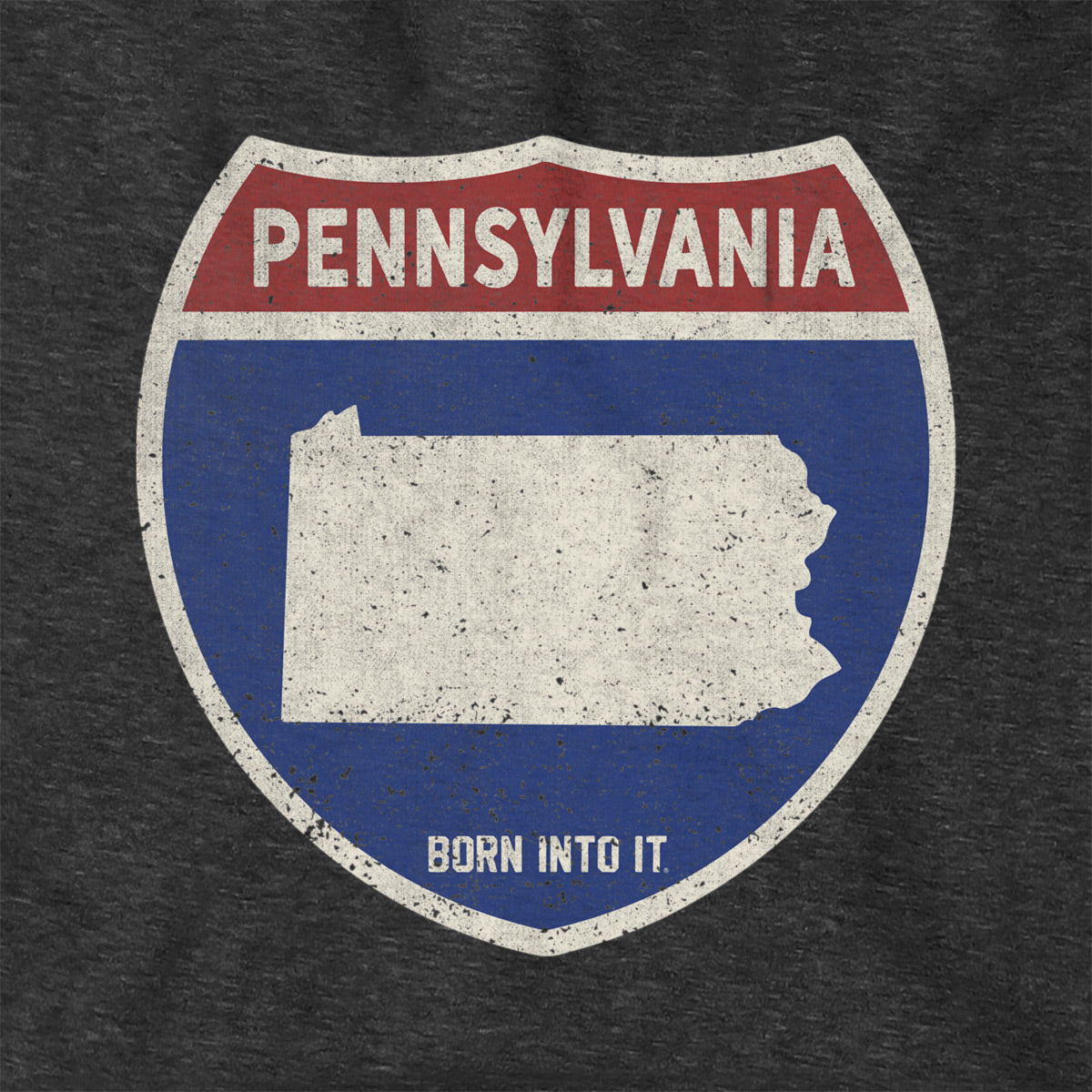 Born Into It Pennsylvania Interstate Sign hoodie, a cozy sweatshirt featuring interstate highway graphics and bold design.