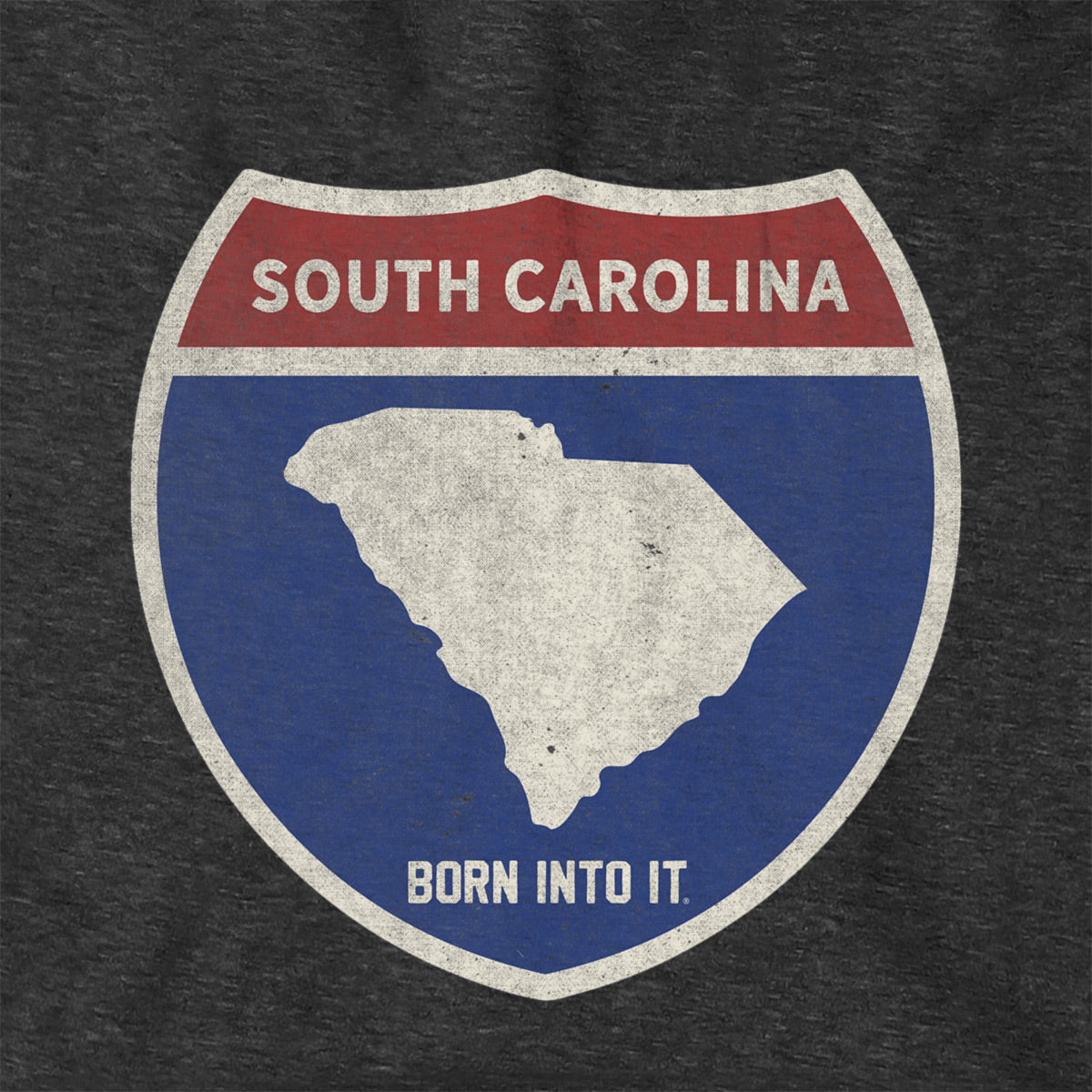 Born Into It South Carolina Interstate Sign hoodie, a comfortable sweatshirt featuring a bold interstate design on the front.