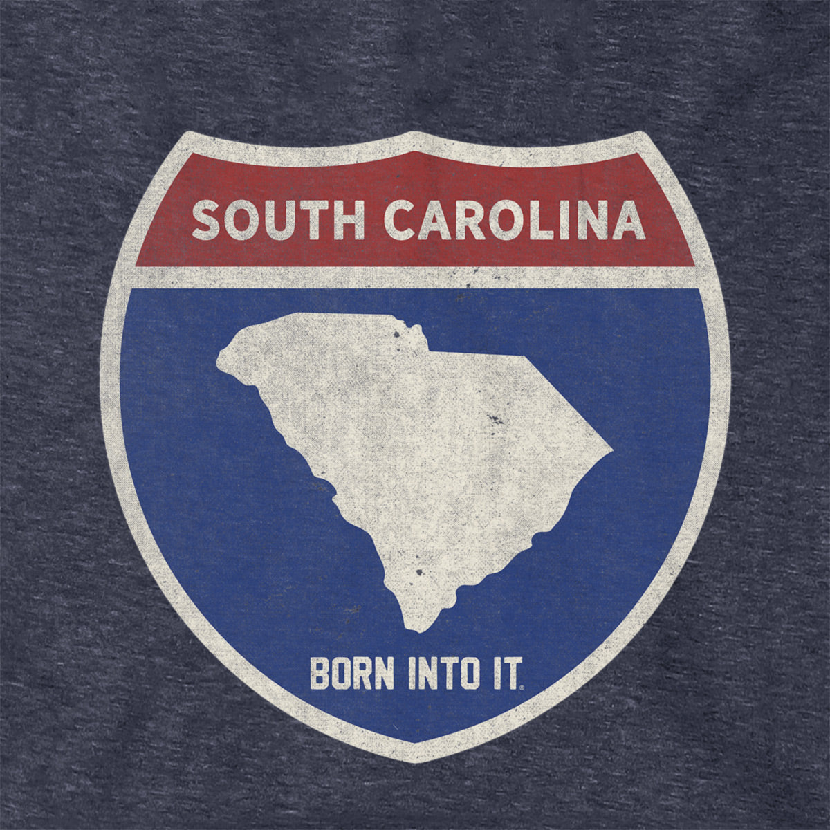 Born Into It South Carolina Interstate Sign hoodie sweatshirt featuring a graphic of the interstate sign on the front.