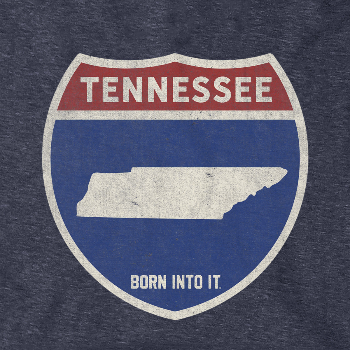 Born Into It Tennessee Interstate Sign Hoodie, a cozy sweatshirt with Tennessee highway design on front, casual streetwear style.