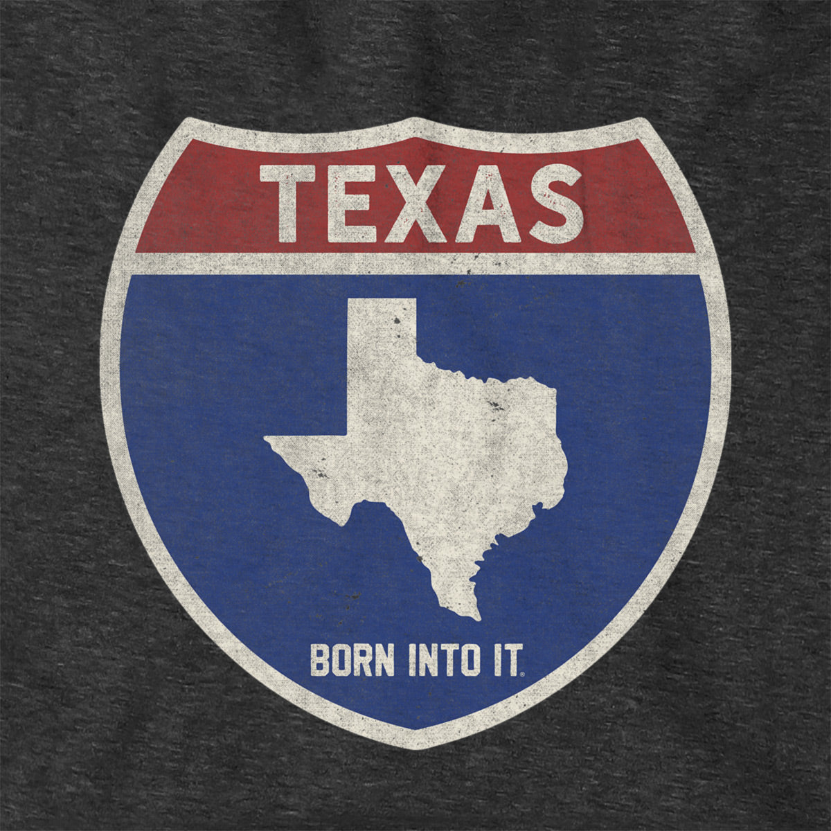 Born Into It Texas Interstate Sign hoodie, comfortable sweatshirt with Texas highway graphic, casual and stylish for everyday wear.