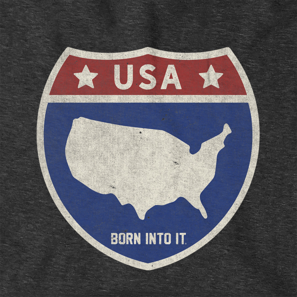 Born Into It USA Interstate Sign hoodie sweatshirt featuring a highway sign design on the front.