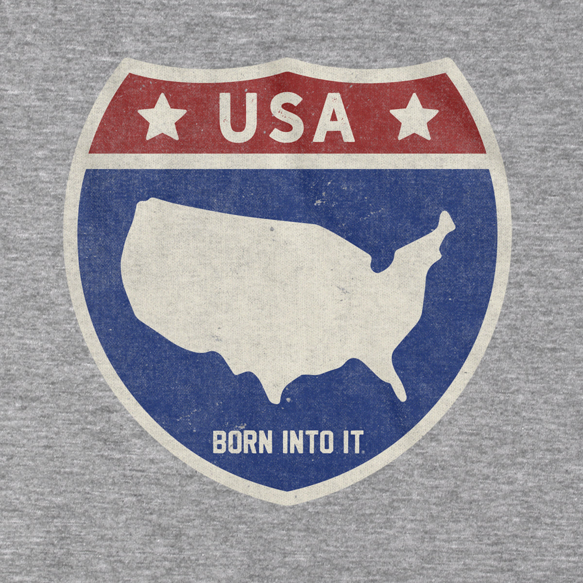 Gray Born Into It USA Interstate Sign T-Shirt featuring a highway sign graphic and bold lettering.