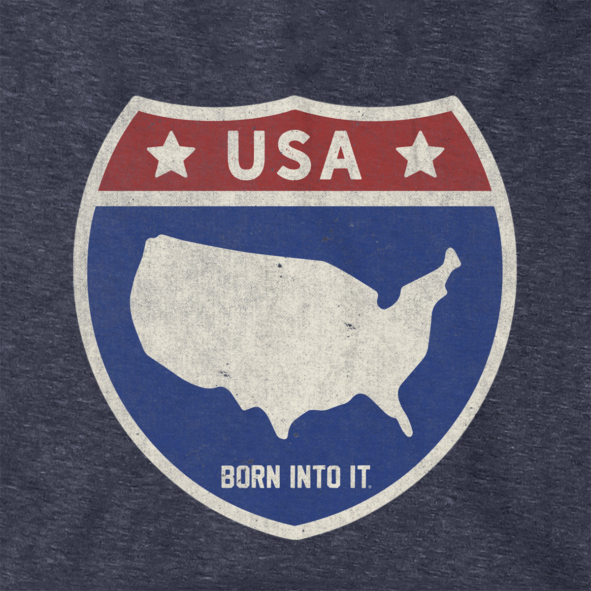 Born Into It USA Interstate Sign hoodie sweatshirt with bold interstate graphic and comfortable fit.