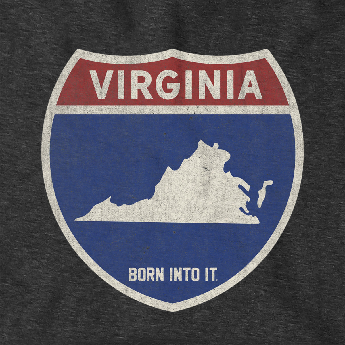 Born Into It Virginia Interstate Sign hoodie, soft sweatshirt with interstate graphic, ideal for casual wear and comfortable style.