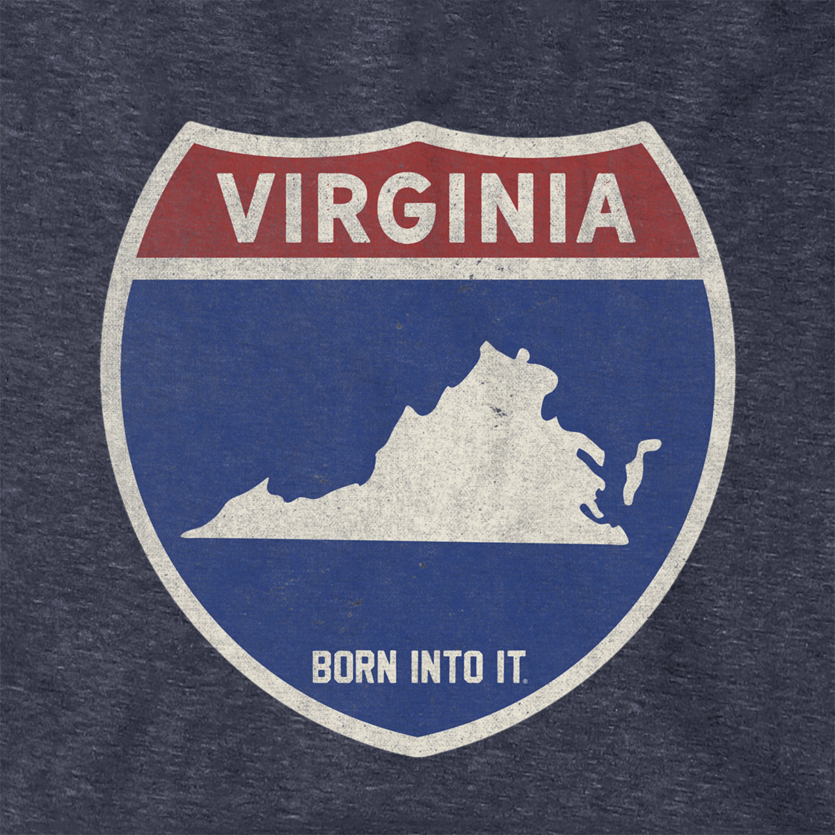 Born Into It Virginia Interstate Sign hoodie sweatshirt with printed interstate design and comfortable fit.