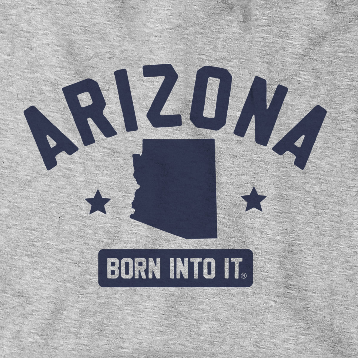 Arizona Keystone Arch Hoodie