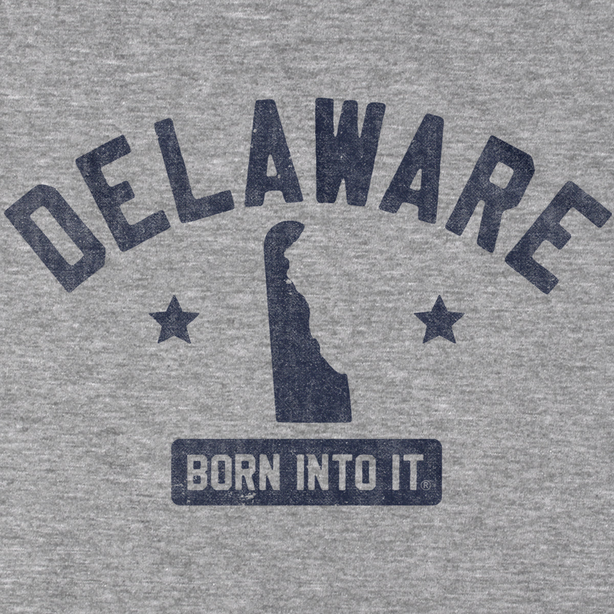 Delaware Keystone Arch T-shirt
