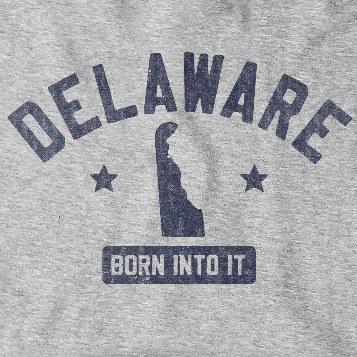 Delaware Keystone Arch Hoodie