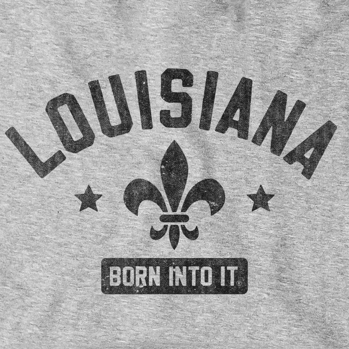 Louisiana Fleur De Lis Keystone Arch Hoodie