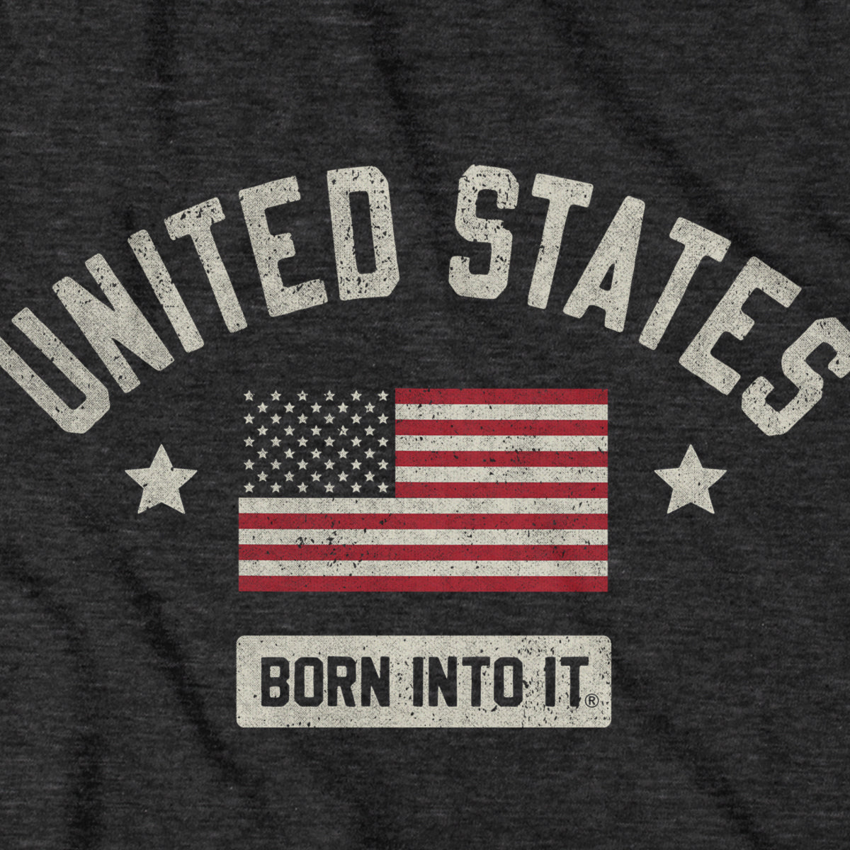 Born Into It United States Flag Keystone Arch T-shirt featuring a patriotic design on a casual T-shirt.