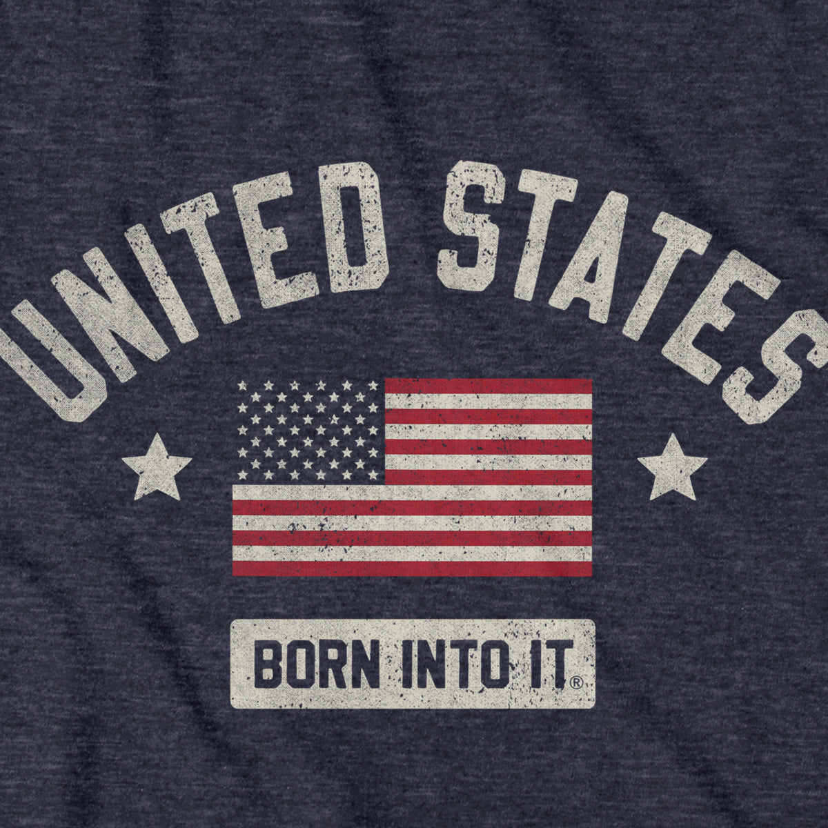 Born Into It United States Flag Keystone Arch T-shirt featuring a patriotic American flag design on the front.