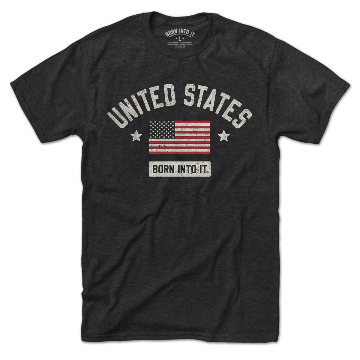 Born Into It United States Flag Keystone Arch T-shirt, casual men's T-shirt with patriotic US flag design and arch graphic.
