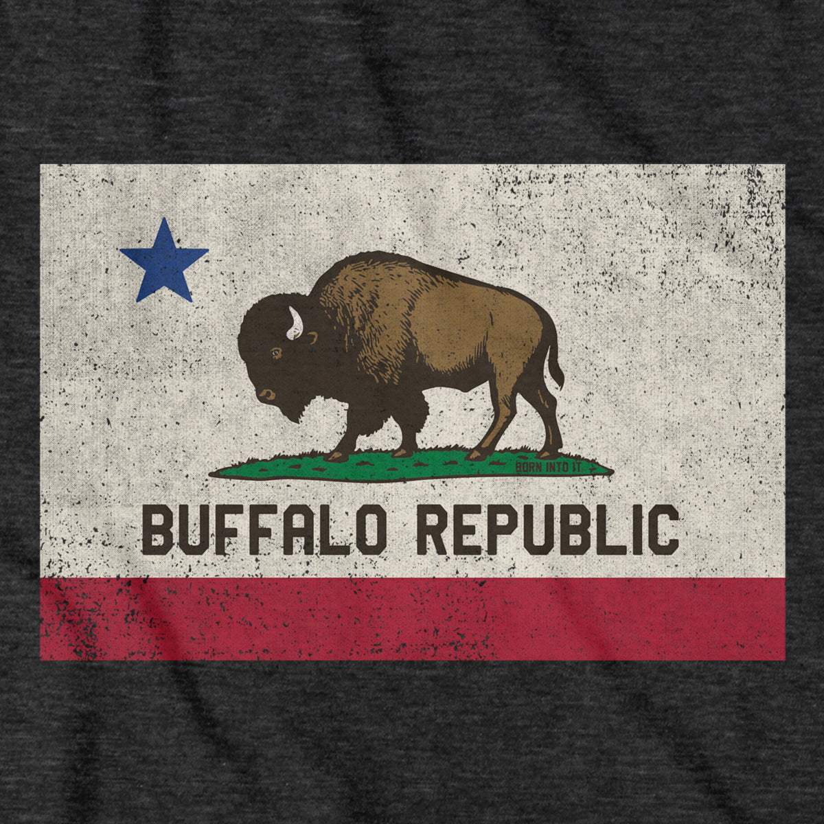 Buffalo Republic Flag T-Shirt