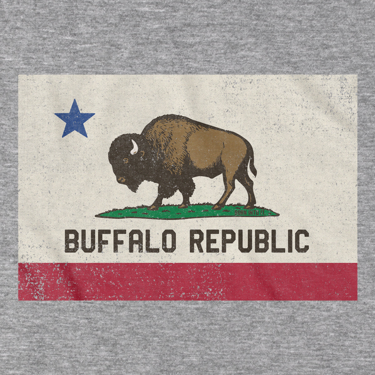 Buffalo Republic Flag T-Shirt