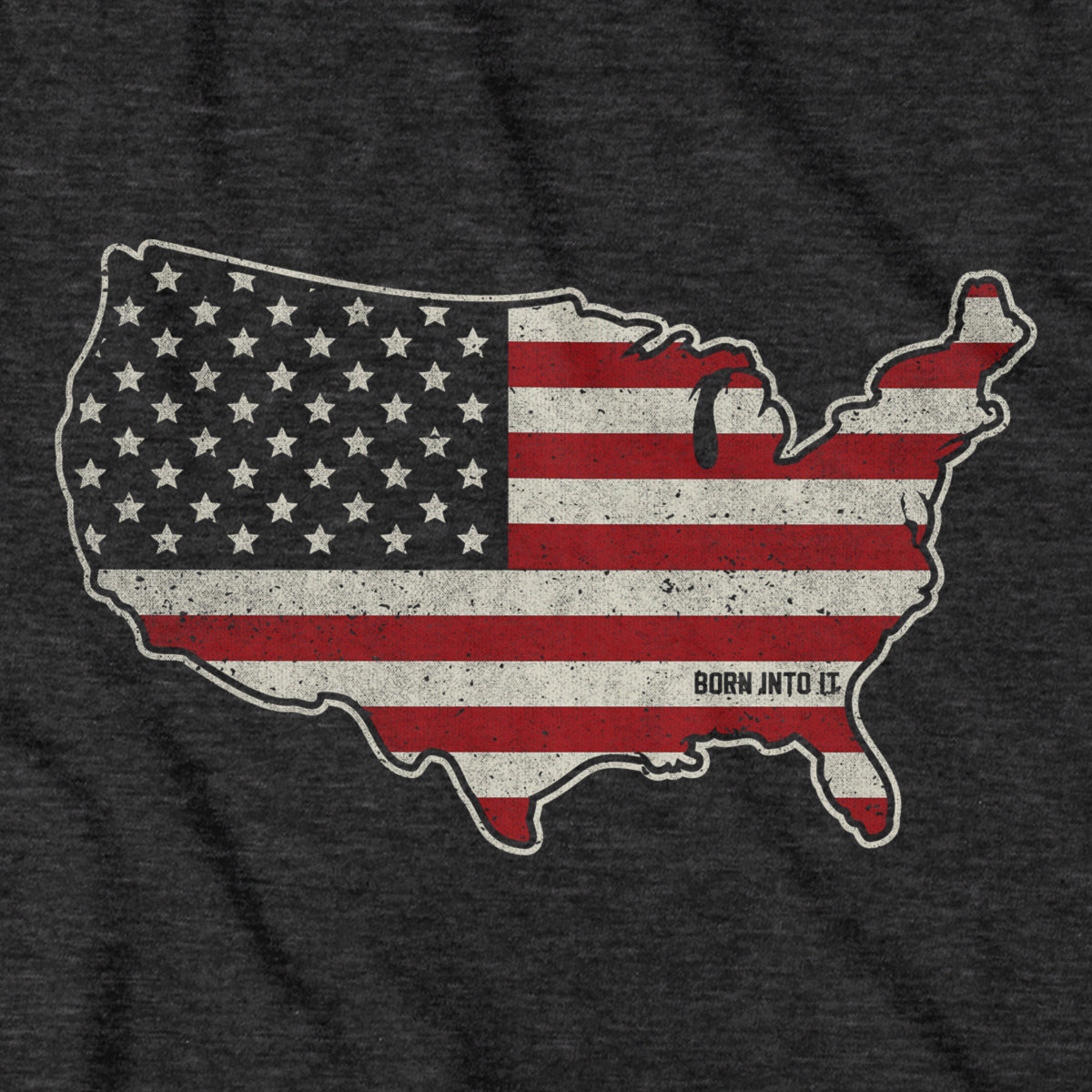 Born Into It USA Stars & Stripes T-shirt featuring a patriotic flag design on a casual cotton T-shirt.