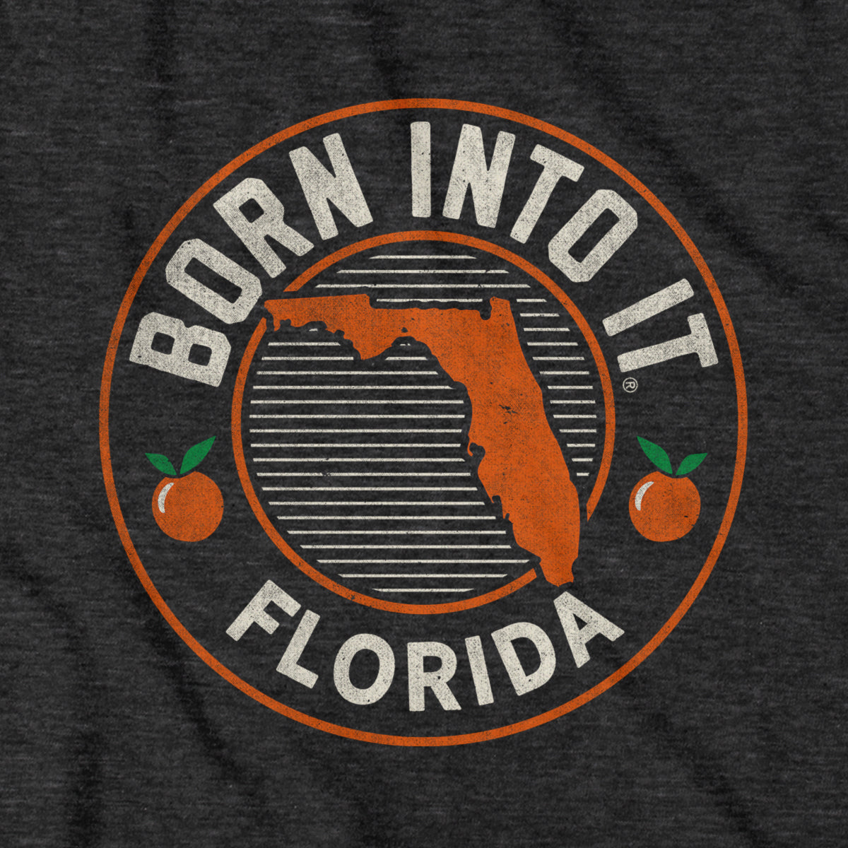 Born Into It Florida Game Day T-Shirt
