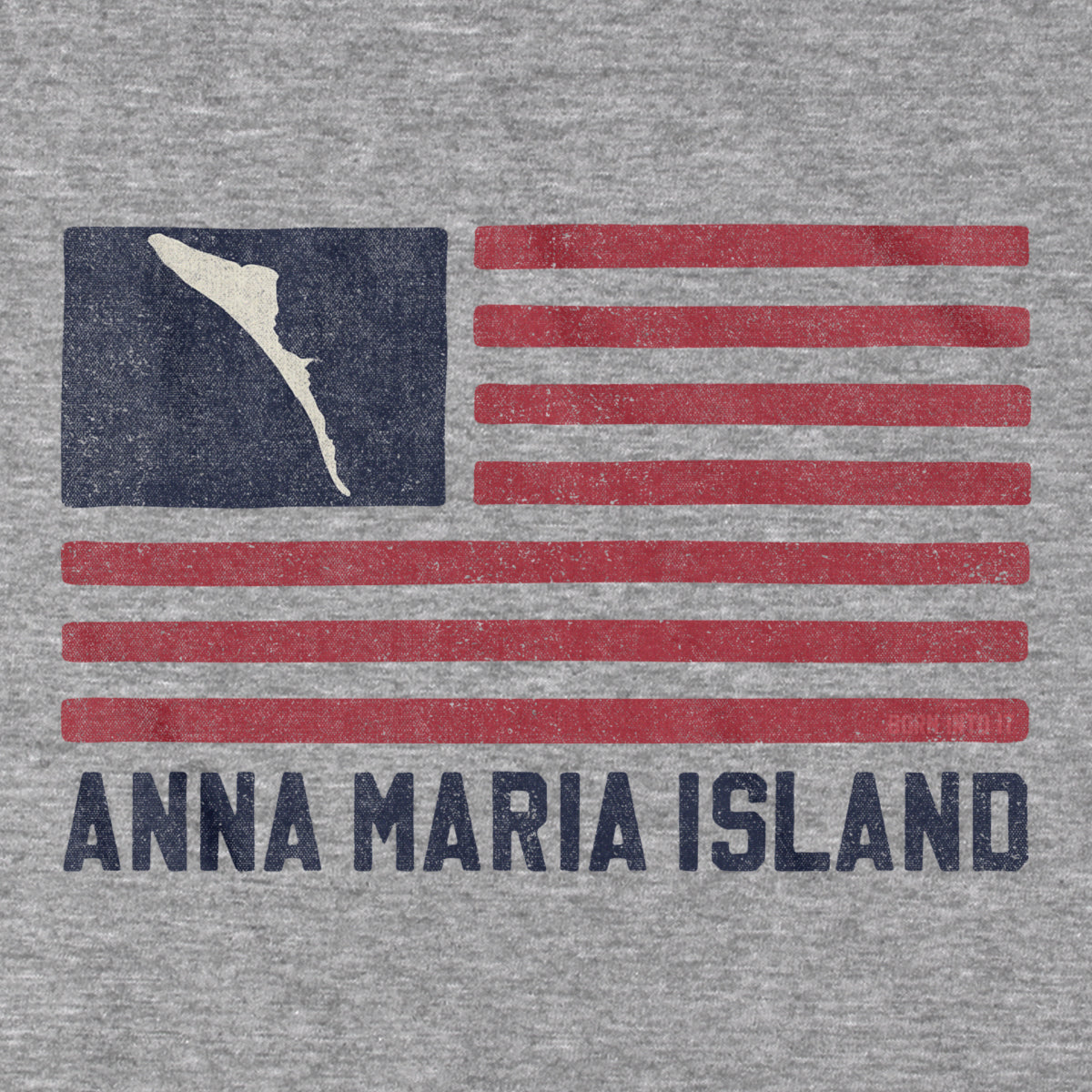 Born Into It Anna Maria Island striped T-shirt featuring blue and white nautical design, casual fit, perfect for beachwear.
