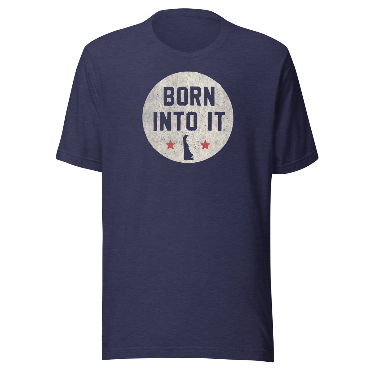 Born Into It Stamp Delaware Unisex t-shirt